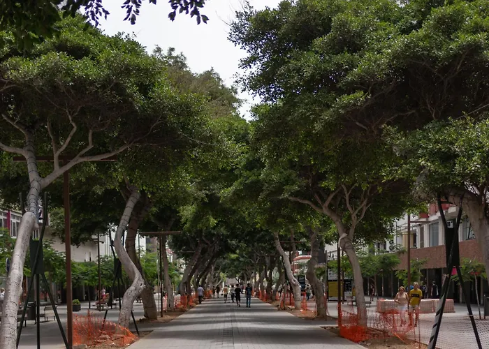 Income Spain Appartamento Las Palmas de Gran Canaria